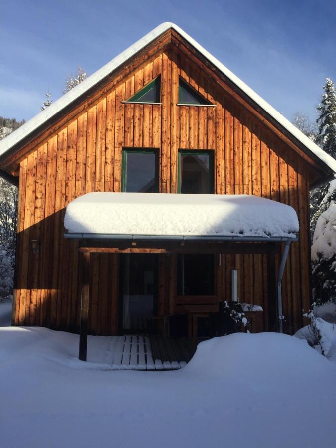 Alpenferienhaus Sophia Sankt Lorenzen ob Murau Kültér fotó