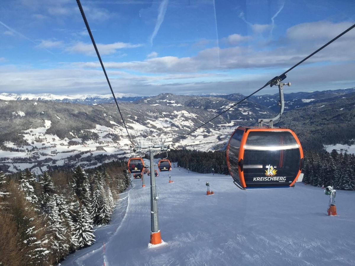 Alpenferienhaus Sophia Sankt Lorenzen ob Murau Kültér fotó