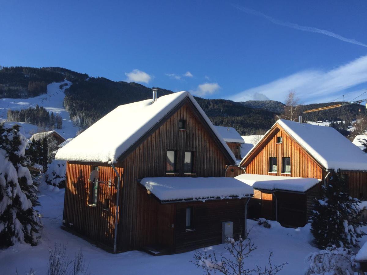 Alpenferienhaus Sophia Sankt Lorenzen ob Murau Kültér fotó