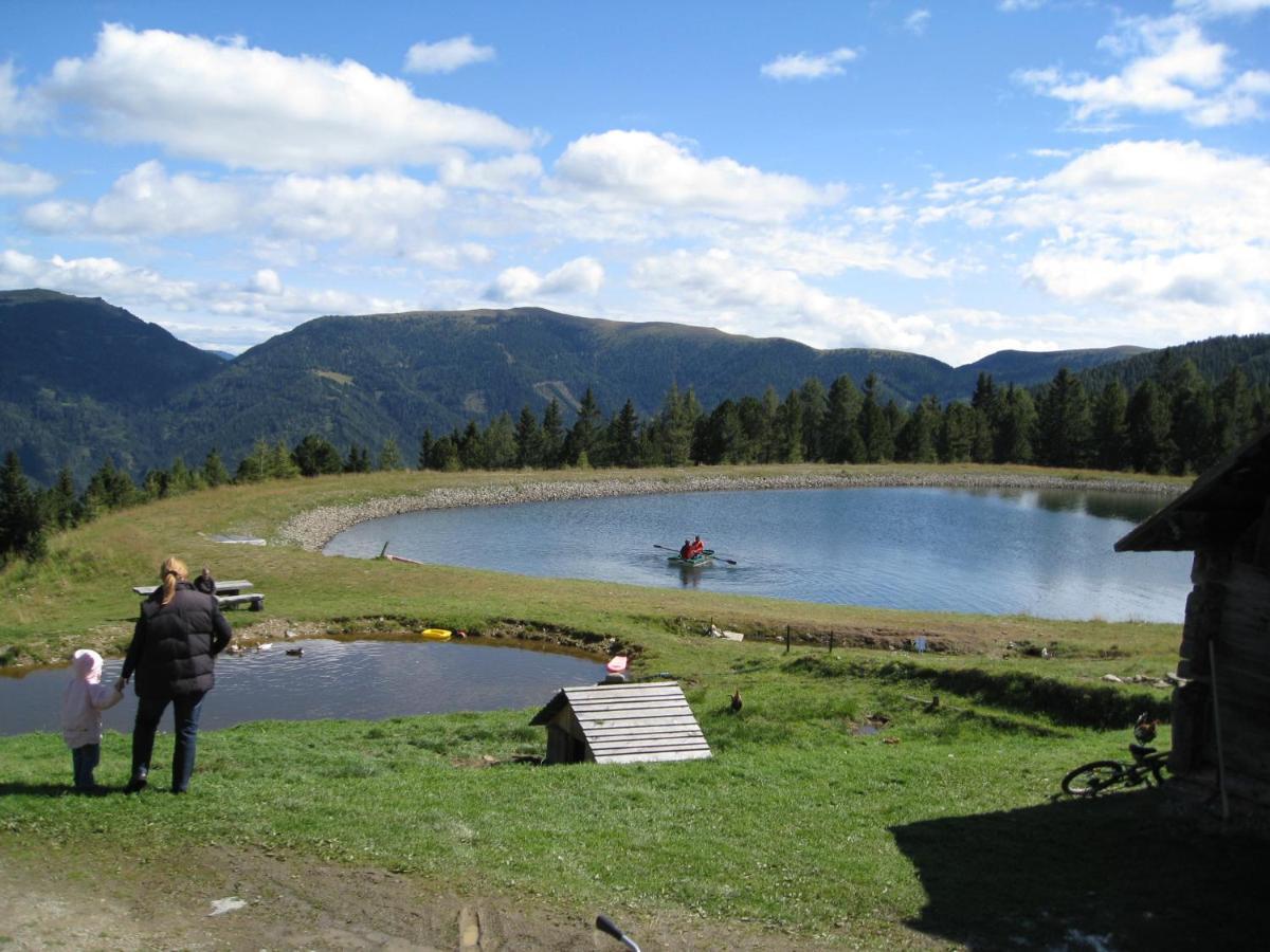 Alpenferienhaus Sophia Sankt Lorenzen ob Murau Kültér fotó